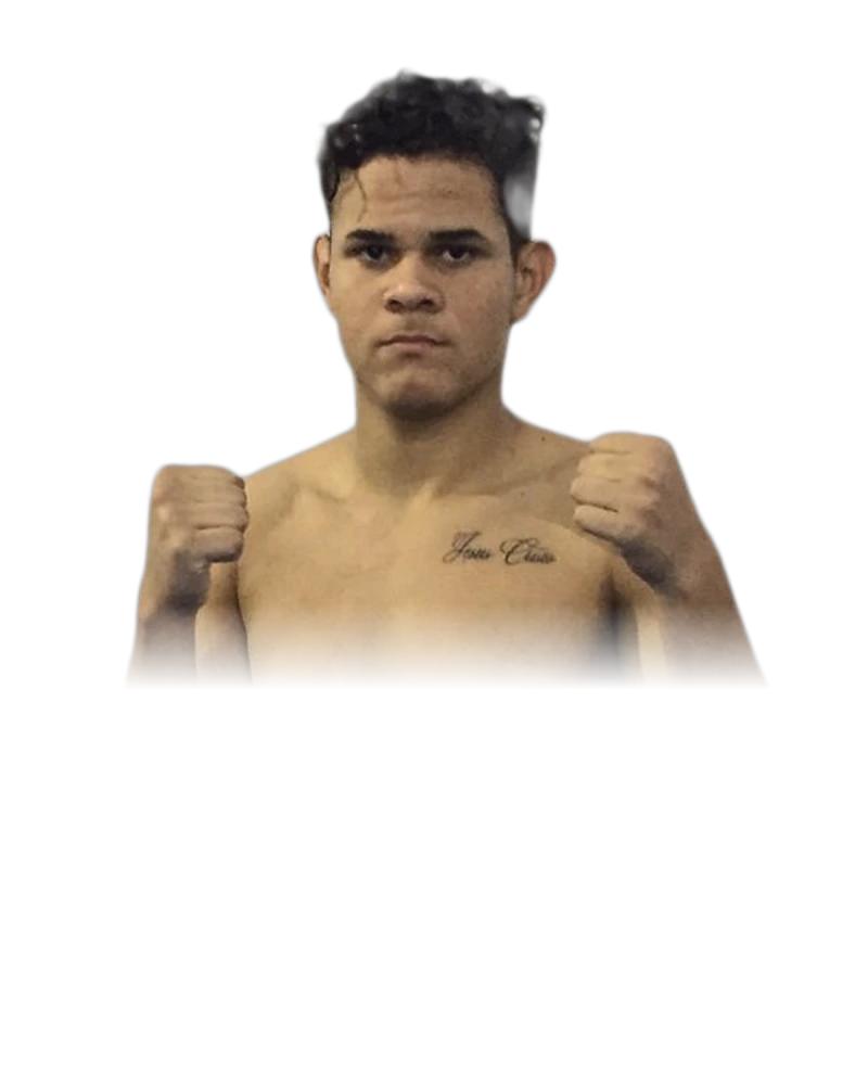 Manoel Vitor Santos
