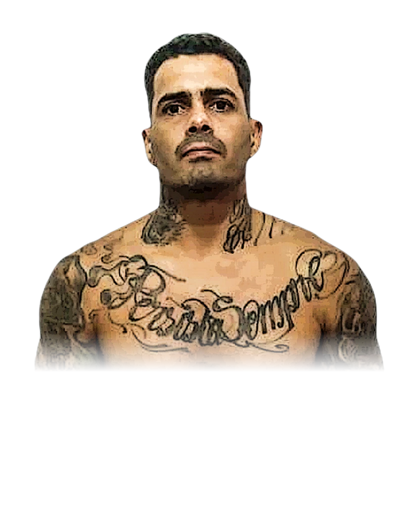 Fernando Almeida