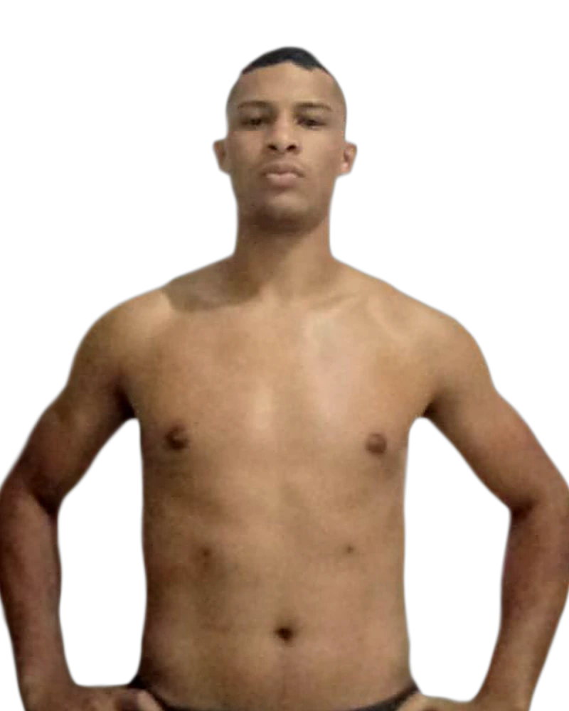 Vinicius Santos Silva