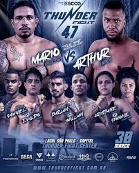 Thunder Fight 47