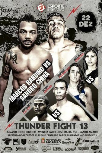 Thunder Fight 13