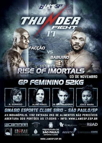 Thunder Fight 17