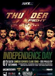 Thunder Fight 15